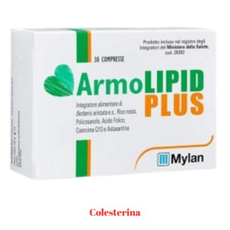 Armolipid Plus 30 capsule – Mylan