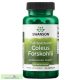 Swanson Coleus forskohlii 400mg/60 buc
