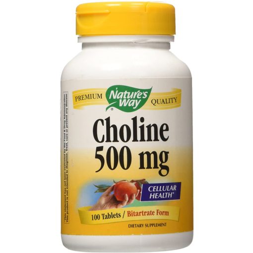 Cholin 500 mg /100 tb.