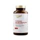 Vitaworld Cordyceps Extract 500 mg CS4 / 100 capsule