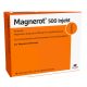 Magnerot 500 Injekt 10 fiole x 10 ml